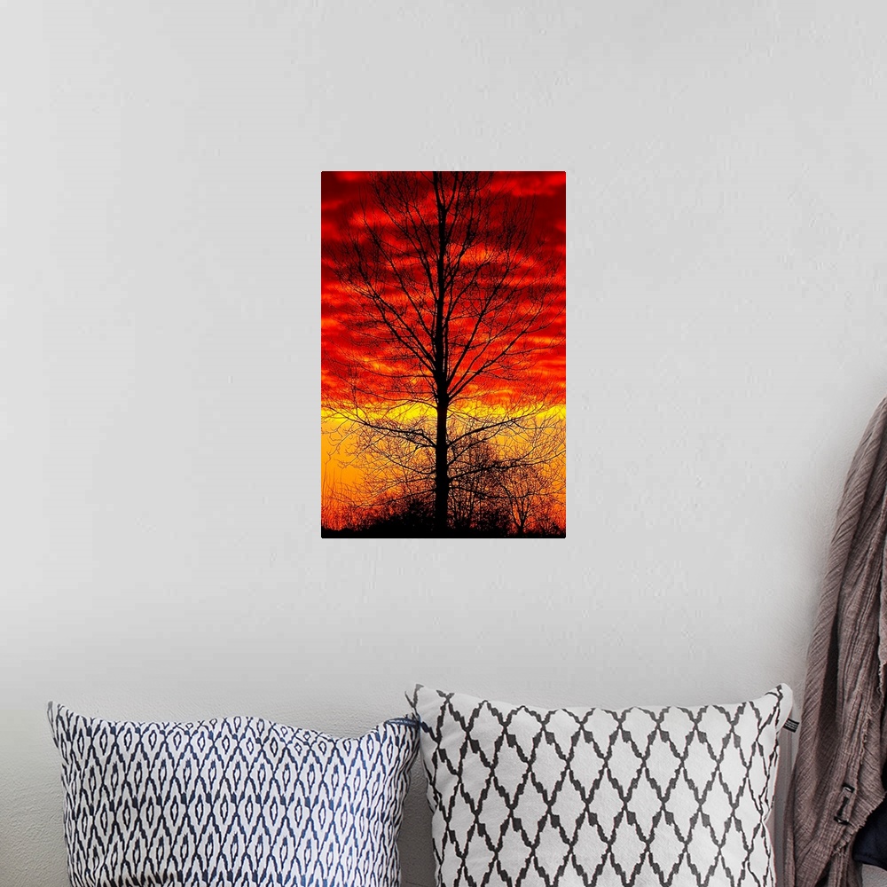 A bohemian room featuring This vertical wall art shows the silhouette of a leafless tree in front of a fiery sky in the eve...