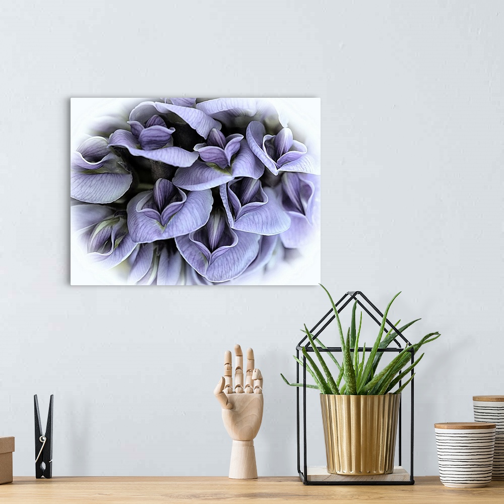 A bohemian room featuring A macro photograph of purple flowers surrounded by a white vignette.