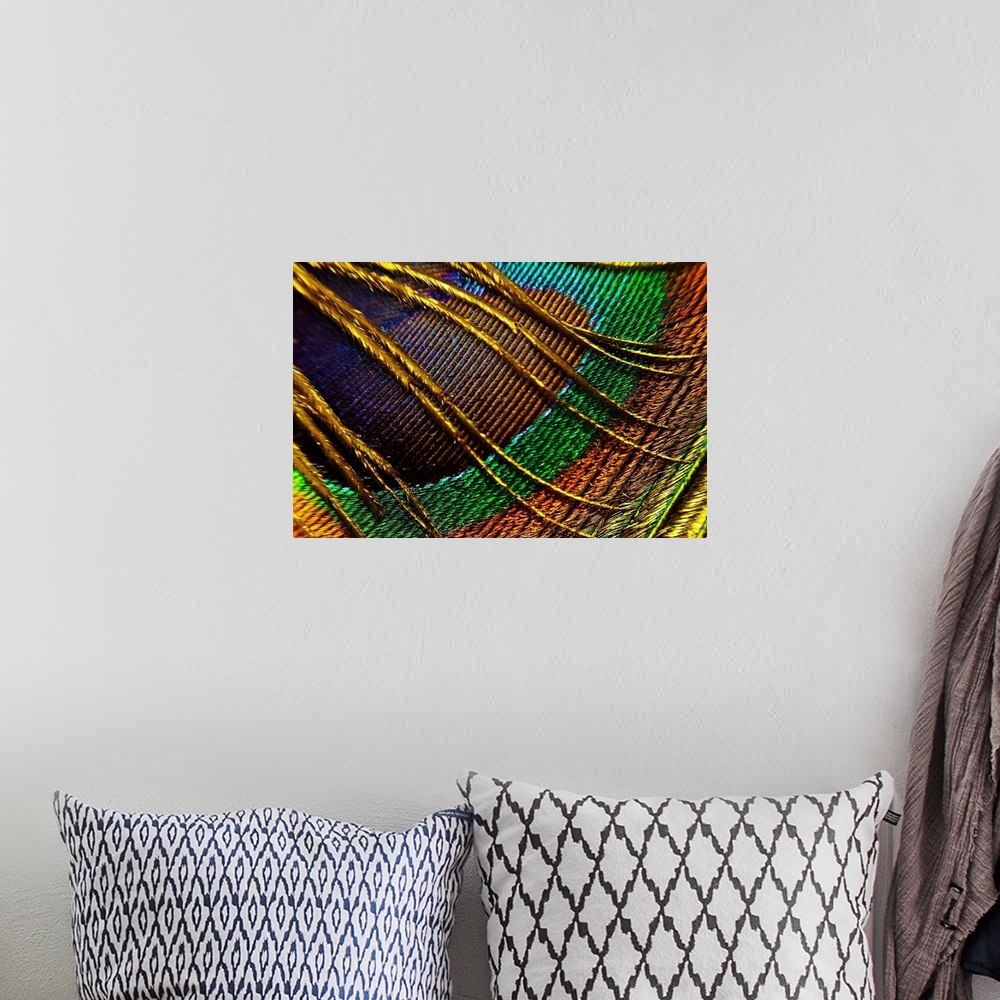 A bohemian room featuring This decorative wall art is a macro, close up photograph of a peacock feather.