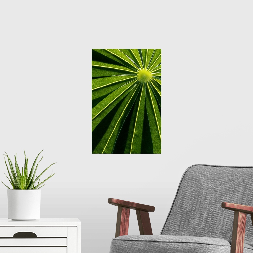 A modern room featuring Vertical canvas of the up close view of narrow leaves.