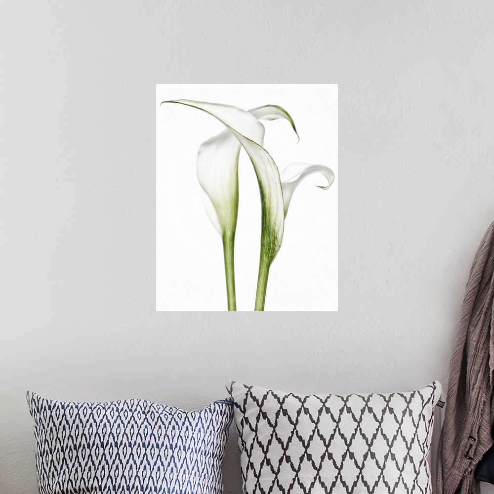 A bohemian room featuring Calla Lily Pair