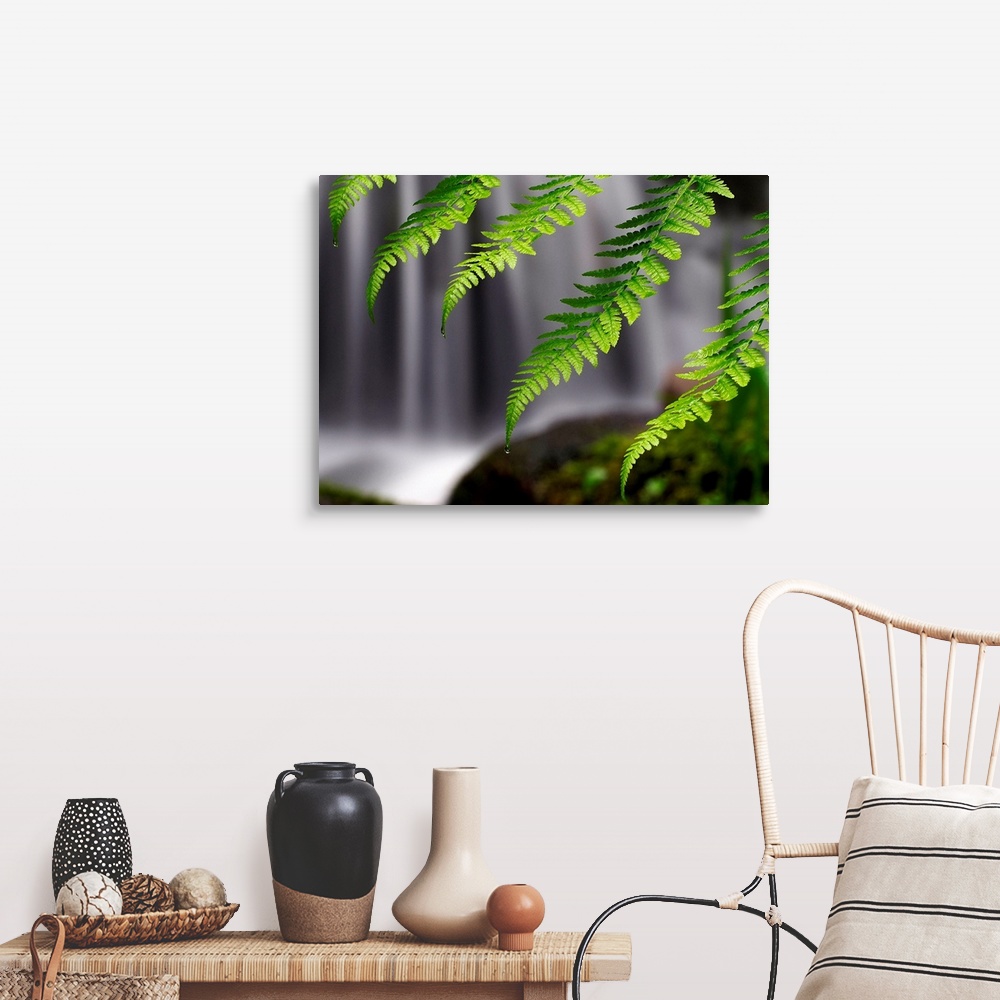 A farmhouse room featuring Giant photograph focuses on a close-up of cascading ferns in intense focus, while a noisy waterfa...