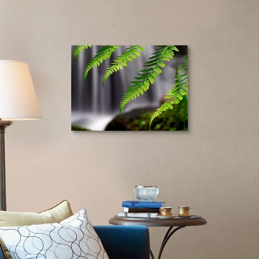A traditional room featuring Giant photograph focuses on a close-up of cascading ferns in intense focus, while a noisy waterfa...