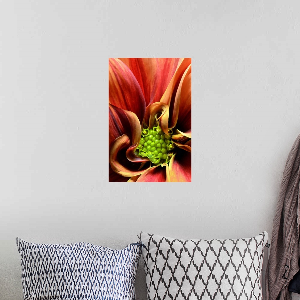 A bohemian room featuring The stamen of a warm colored flower is pictured very closely.