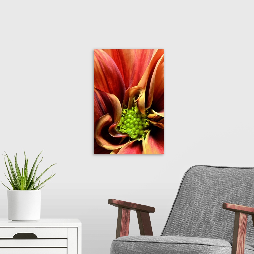 A modern room featuring The stamen of a warm colored flower is pictured very closely.