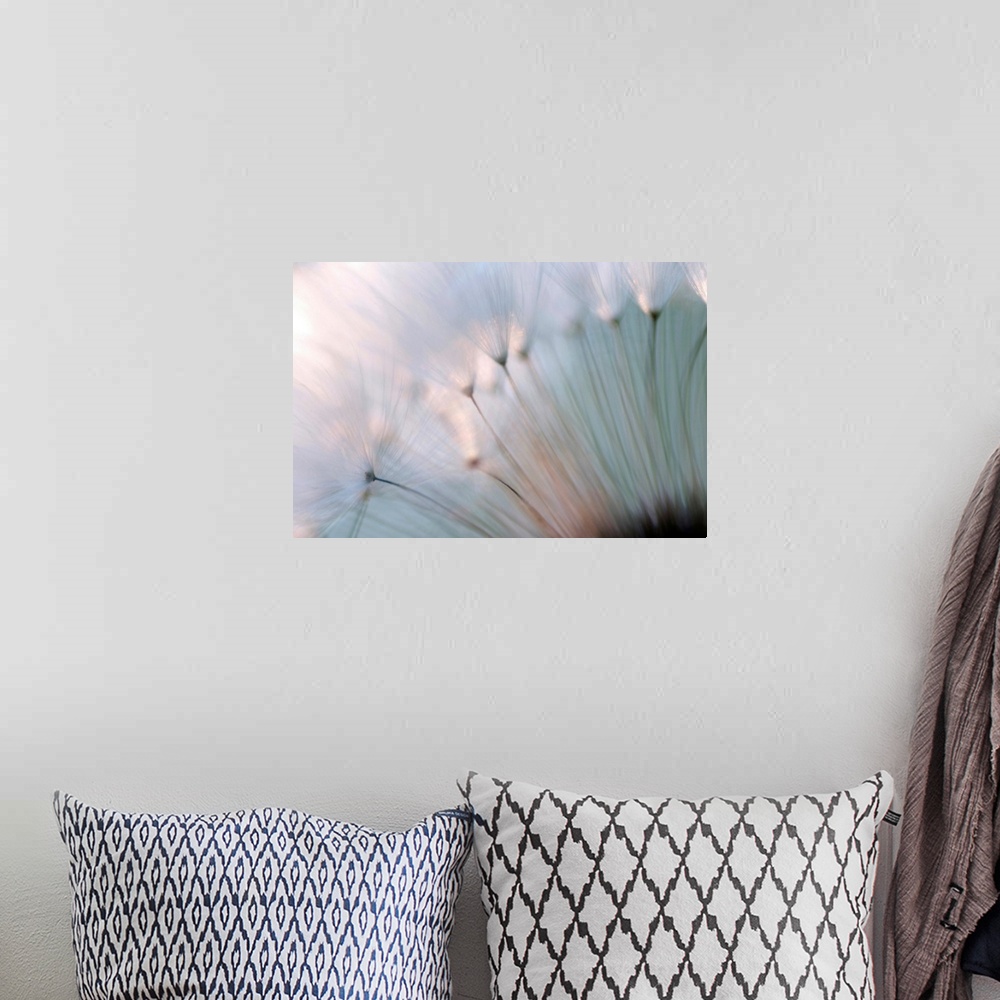 A bohemian room featuring A macro photograph that is a close up of a floral element of nature this horizontal photograph is...