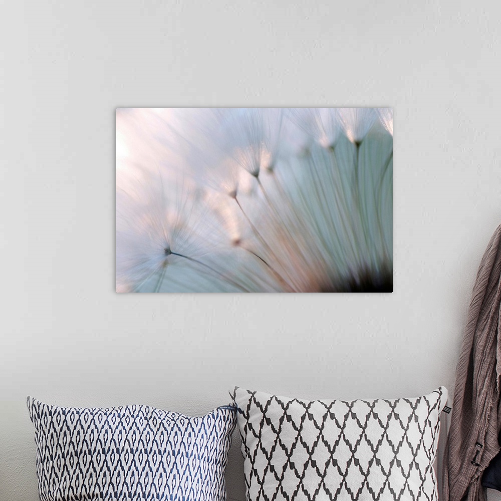 A bohemian room featuring A macro photograph that is a close up of a floral element of nature this horizontal photograph is...