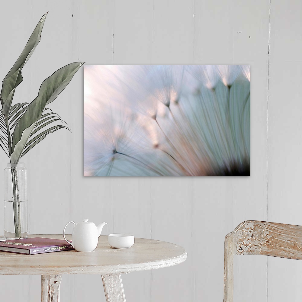 A farmhouse room featuring A macro photograph that is a close up of a floral element of nature this horizontal photograph is...
