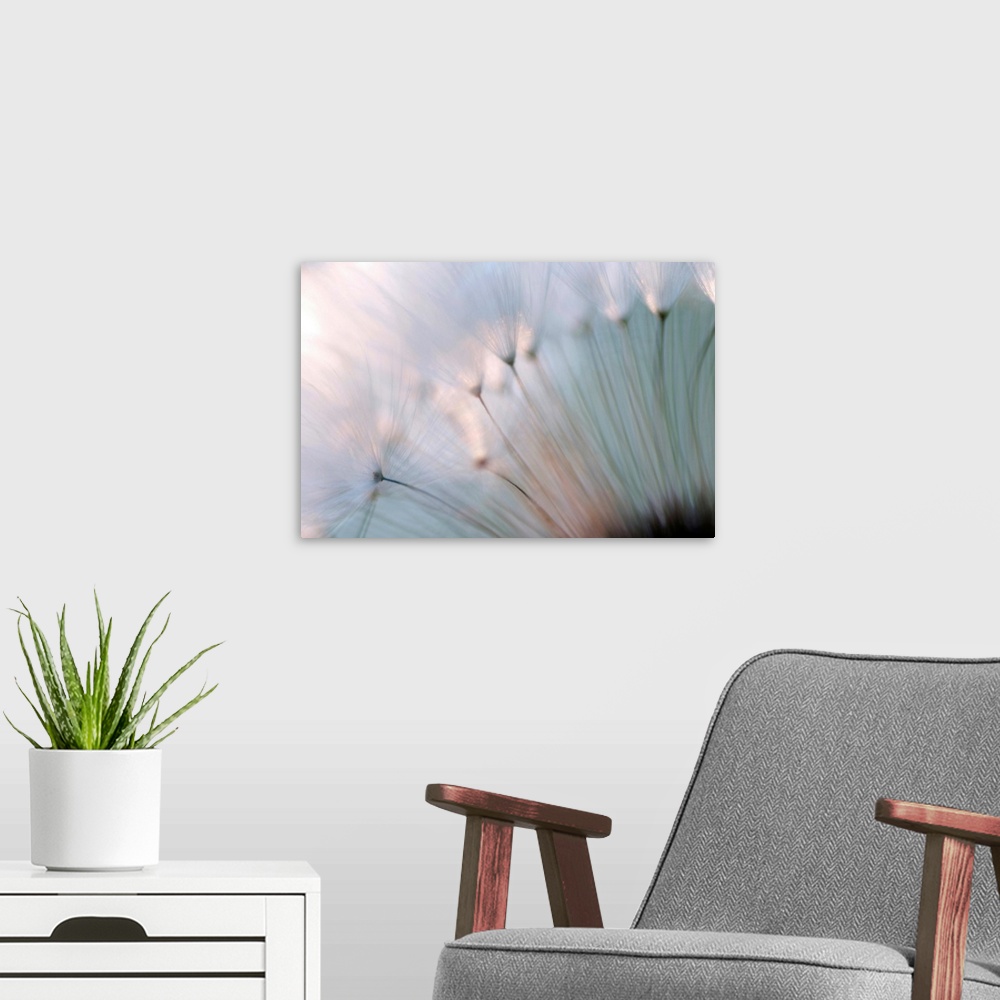 A modern room featuring A macro photograph that is a close up of a floral element of nature this horizontal photograph is...