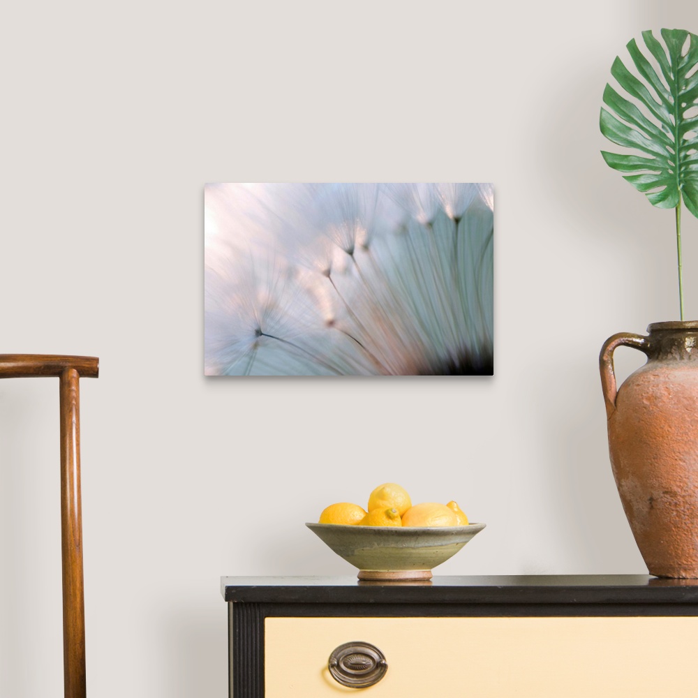 A traditional room featuring A macro photograph that is a close up of a floral element of nature this horizontal photograph is...