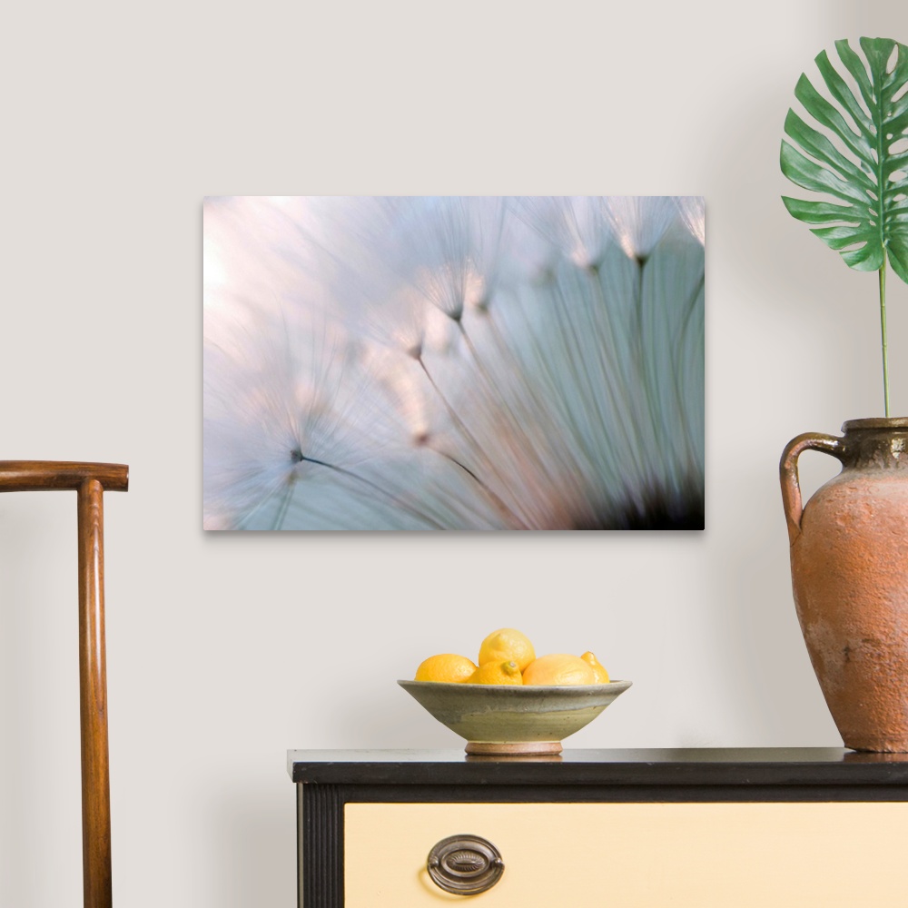 A traditional room featuring A macro photograph that is a close up of a floral element of nature this horizontal photograph is...