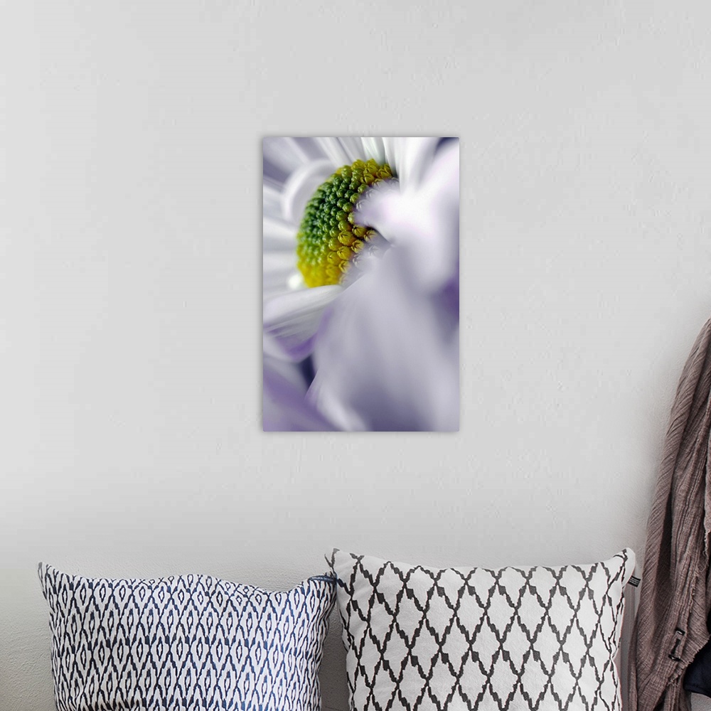 A bohemian room featuring Tall image of the up close of the center of a flower.
