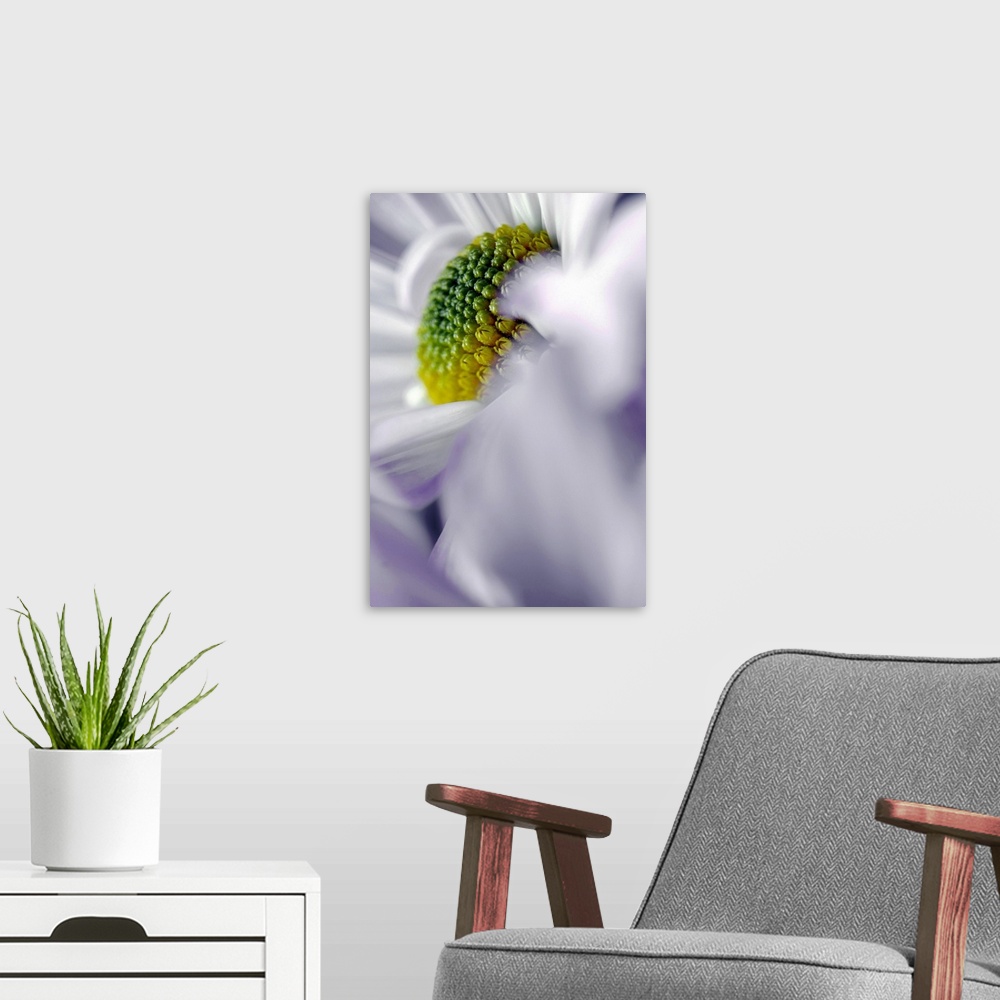 A modern room featuring Tall image of the up close of the center of a flower.