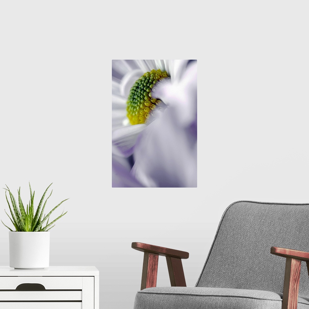 A modern room featuring Tall image of the up close of the center of a flower.