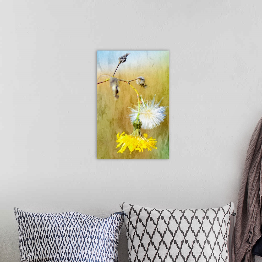 A bohemian room featuring Photograph of a close-up of seed pods and a yellow flower.