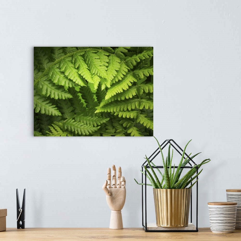 A bohemian room featuring A big up close canvas print of a fern branch curving around.