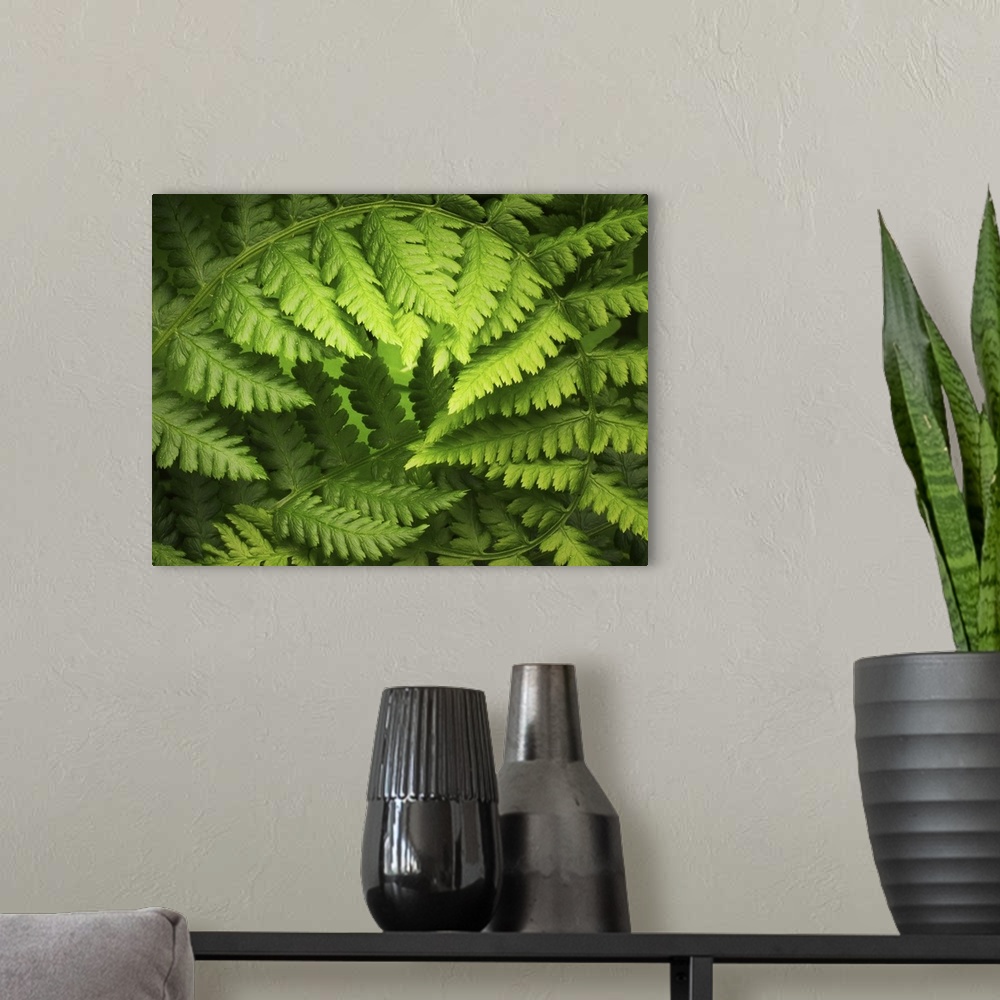 A modern room featuring A big up close canvas print of a fern branch curving around.