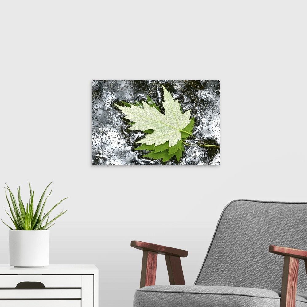 A modern room featuring Floating Maple Leaves