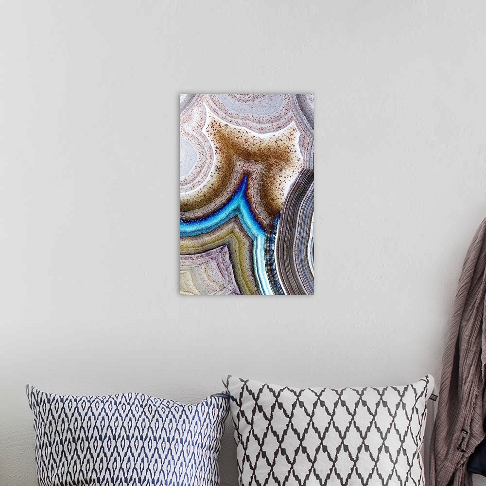 A bohemian room featuring Vertical macro photograph of details of geological elements layering to create rings of texture s...