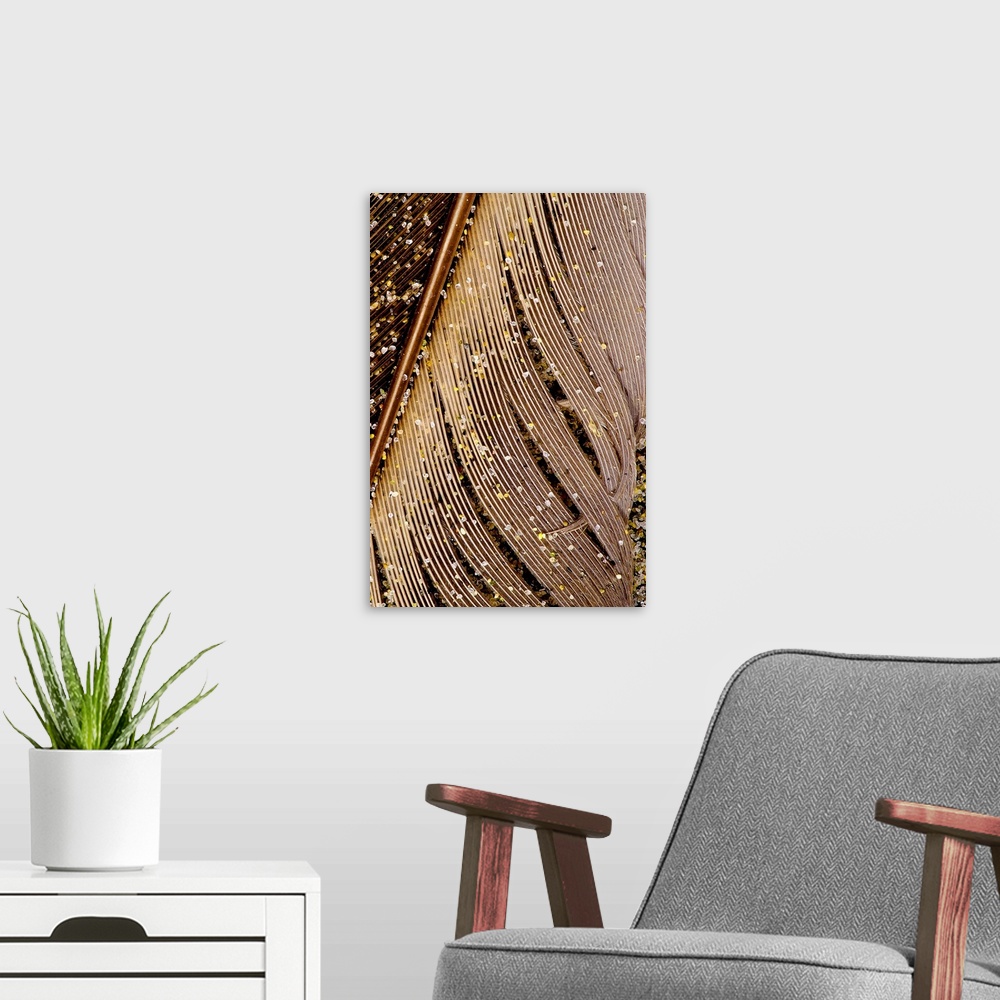 A modern room featuring Grains of Sand on Brown Feather