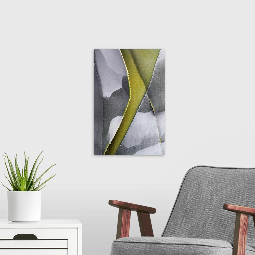 A modern room featuring Grey Pattern on Green Leaf