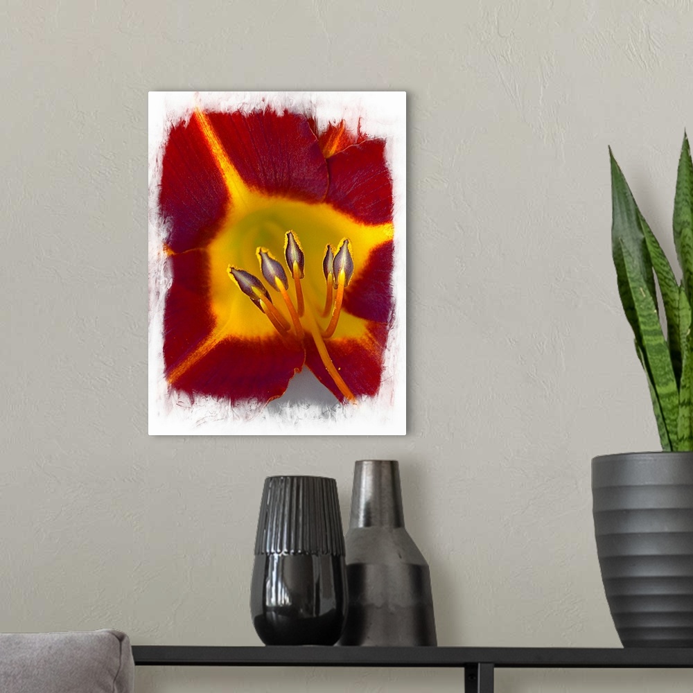 A modern room featuring A macro photograph of a red and yellow flower.