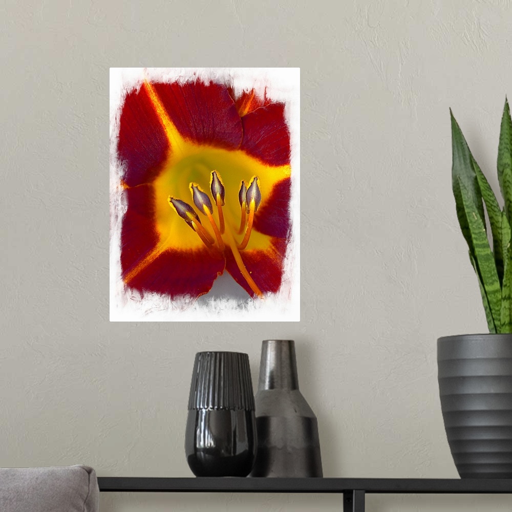 A modern room featuring A macro photograph of a red and yellow flower.