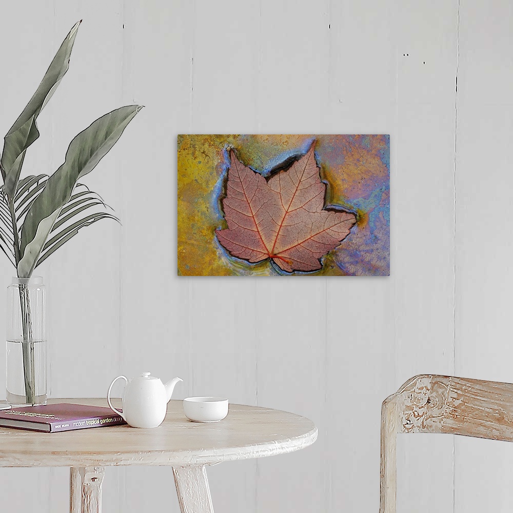 A farmhouse room featuring Canvas image of a leaf floating in swampy water.