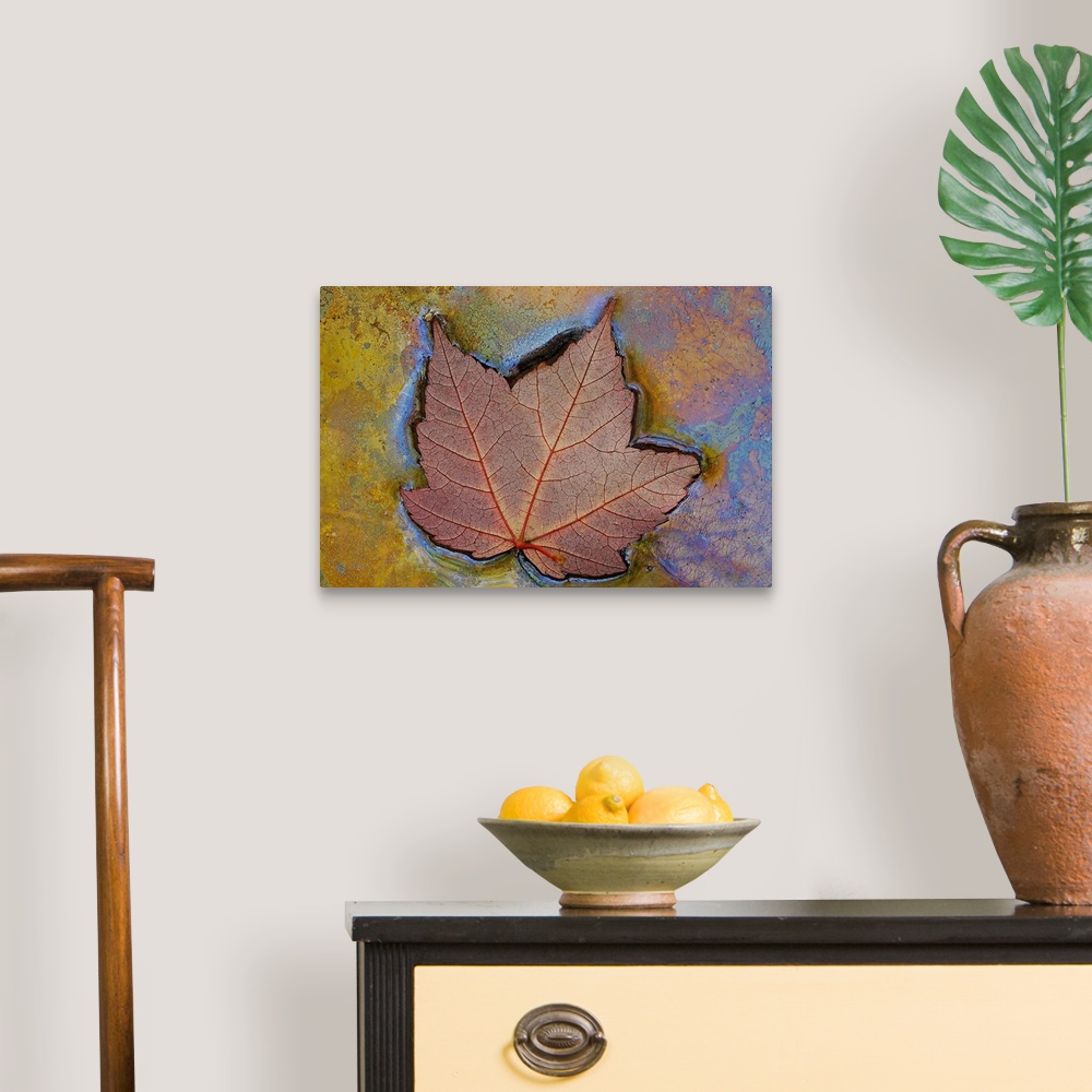 A traditional room featuring Canvas image of a leaf floating in swampy water.