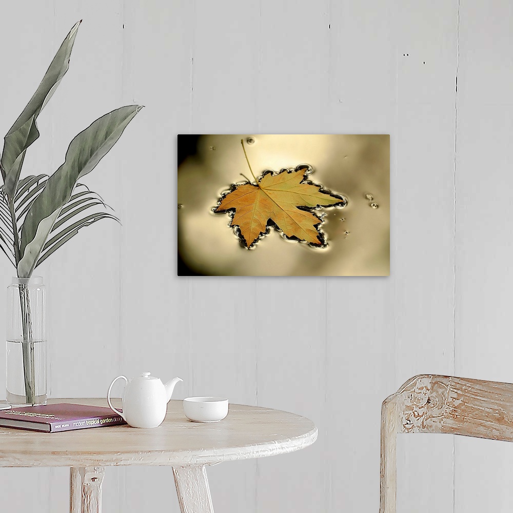 A farmhouse room featuring This horizontal photograph captures a still moment of nature in this wall art for the home or off...