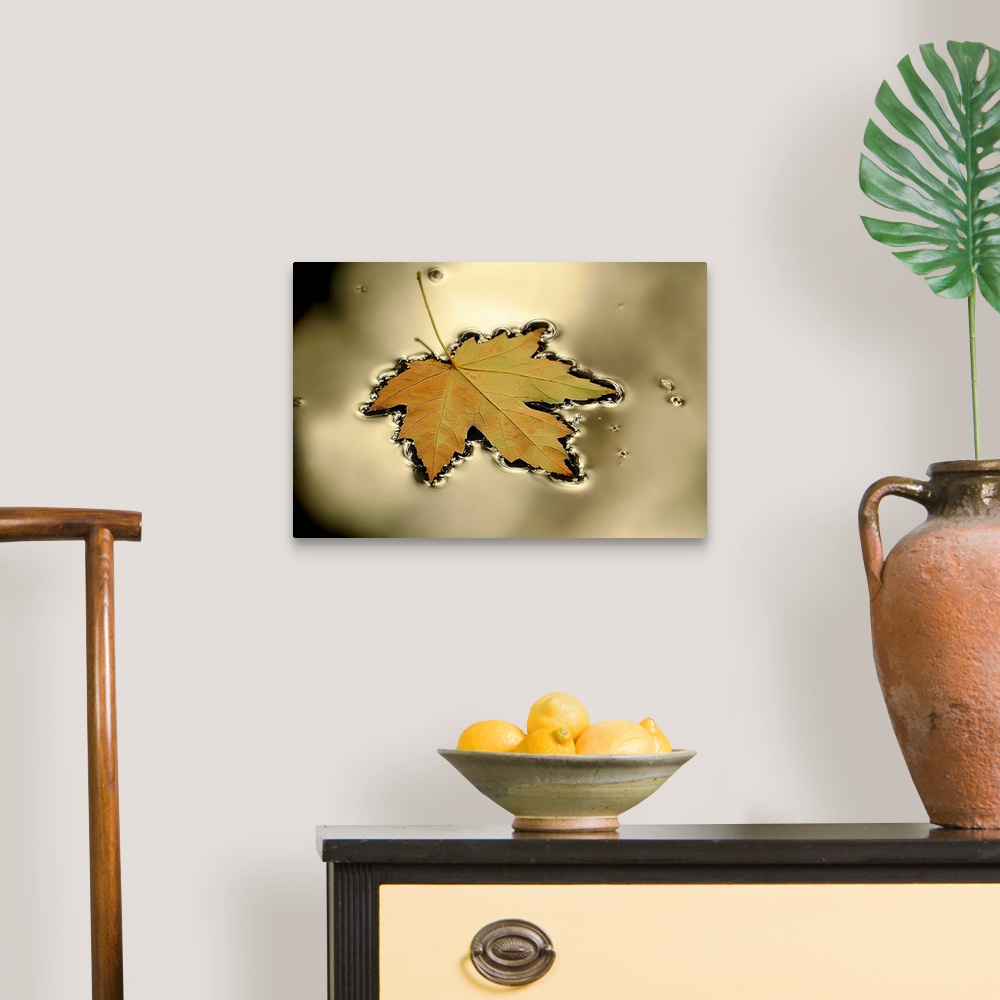 A traditional room featuring This horizontal photograph captures a still moment of nature in this wall art for the home or off...
