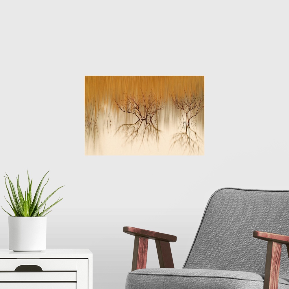 A modern room featuring Big photograph displays tree branches sticking out and reflecting back over the water.  Included ...