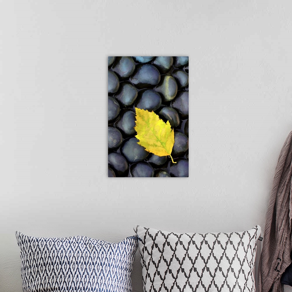 A bohemian room featuring Macro photo of a single yellow leaf resting on round black stones.