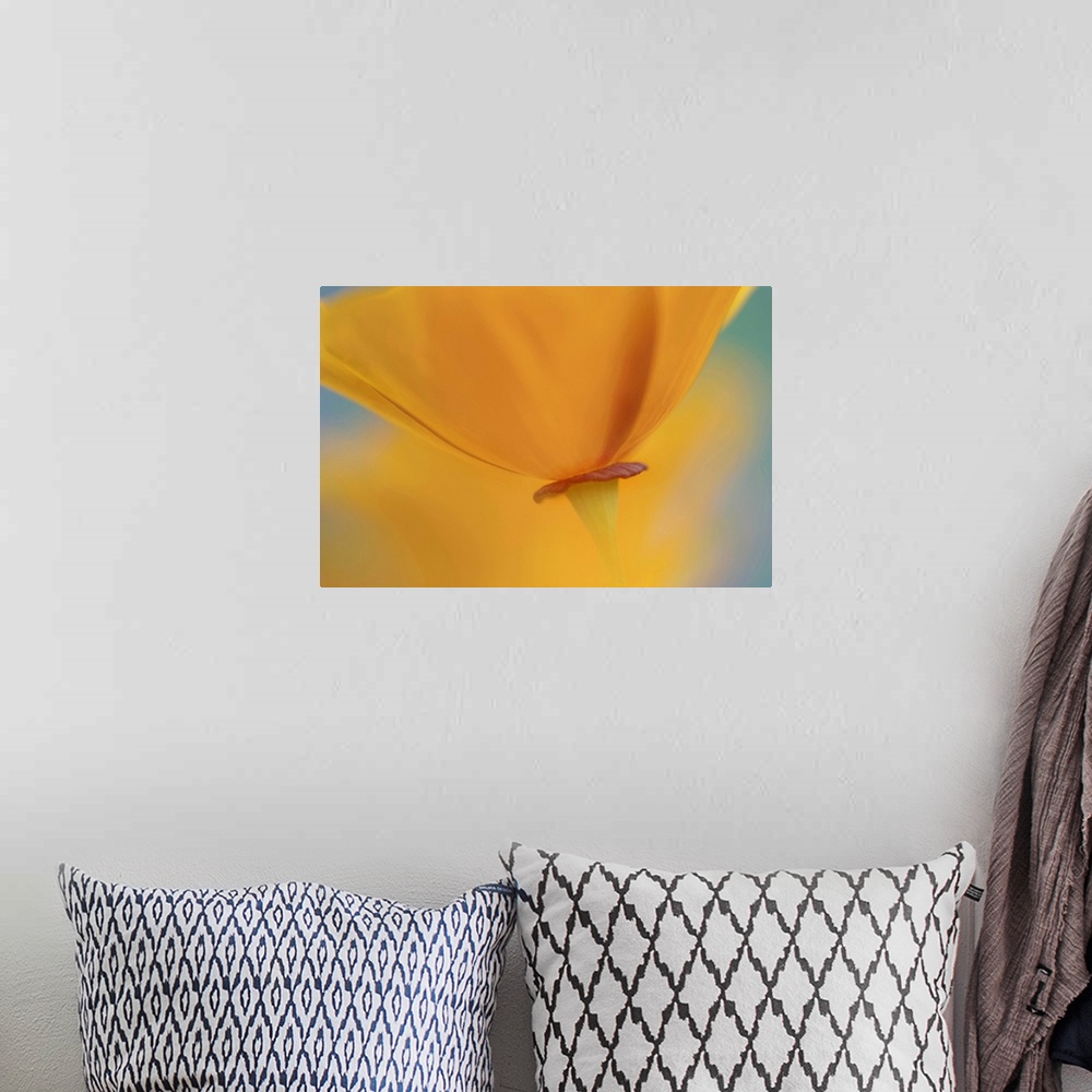 A bohemian room featuring Fine Art photography of a close up of the base of an orange poppy flower.