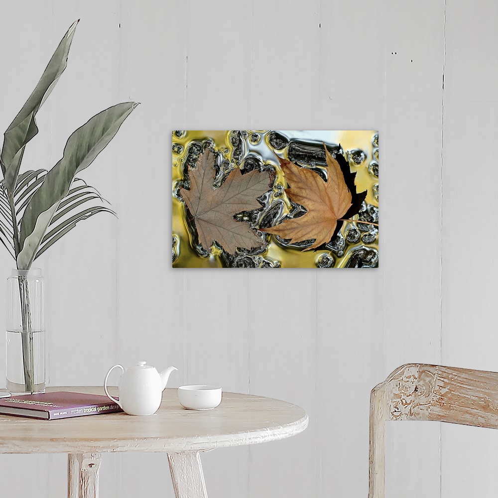 A farmhouse room featuring Large canvas photo of two leaves floating on top of water.