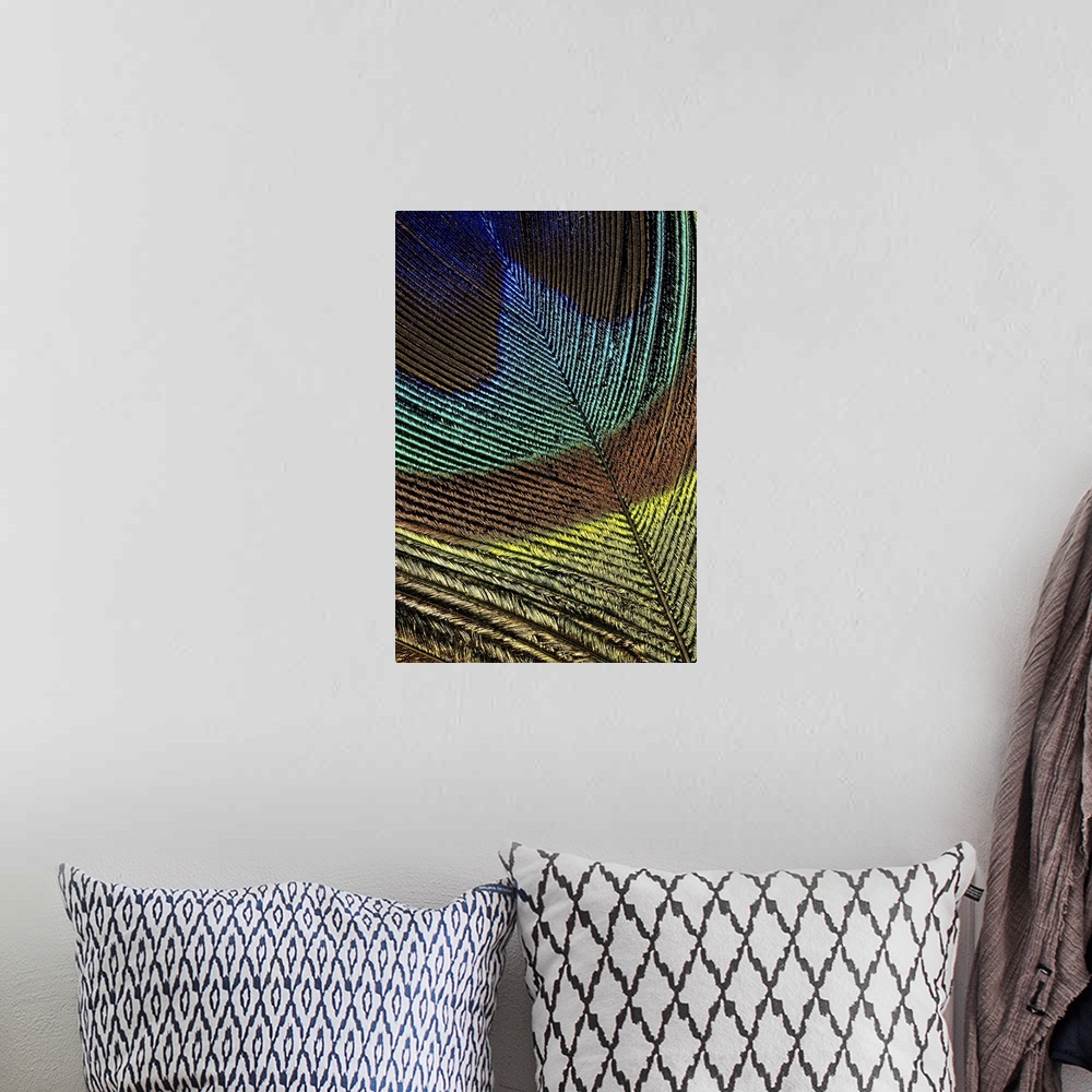 A bohemian room featuring Large, portrait close up photograph of the colorful tip of a peacock feather.