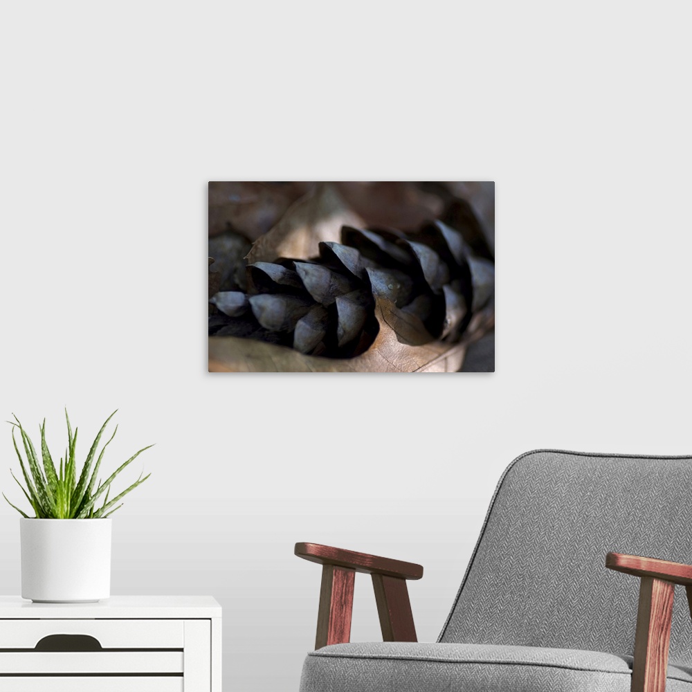 A modern room featuring Pine Cone Detail