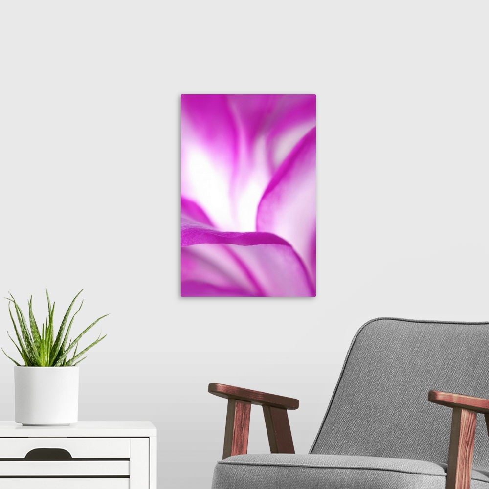 A modern room featuring Vertical, large, close up photograph of bright flower petals, the petals in the foreground are in...