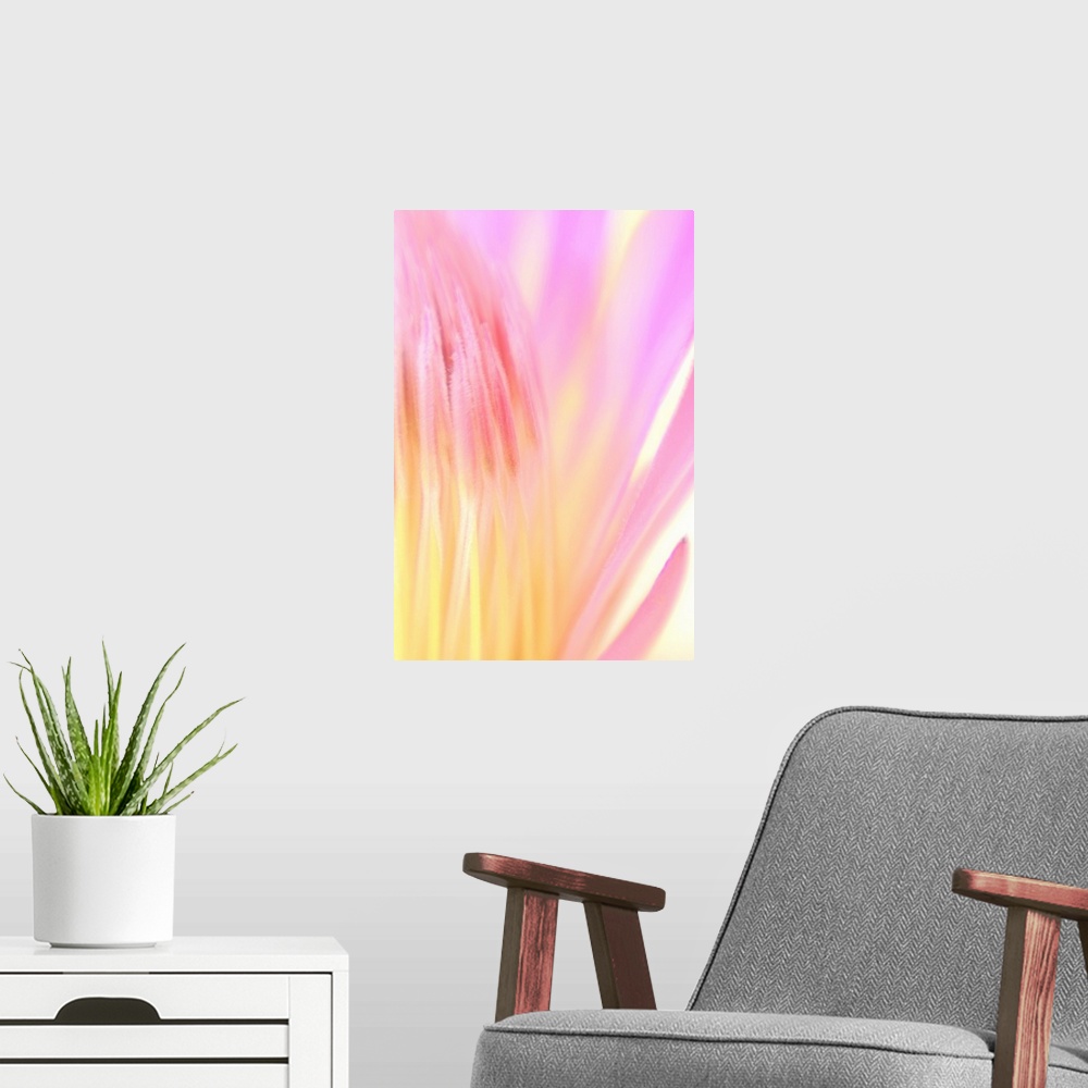 A modern room featuring Pink Mum Blossom Opening