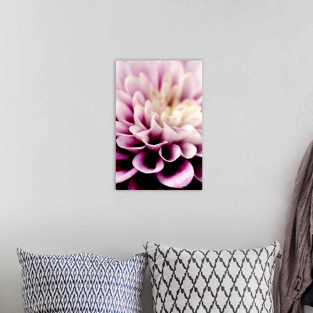A bohemian room featuring Giant photograph focuses in on the detailed petals of a dahlia flower.  The sharp focus on the pe...