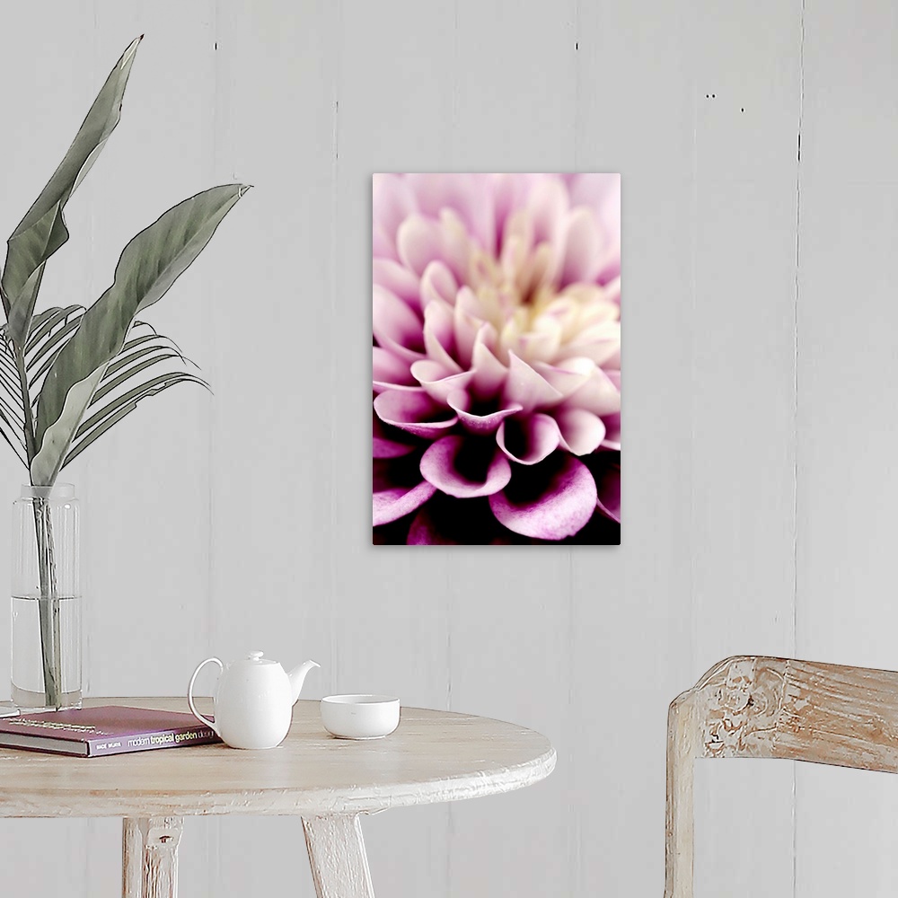 A farmhouse room featuring Giant photograph focuses in on the detailed petals of a dahlia flower.  The sharp focus on the pe...