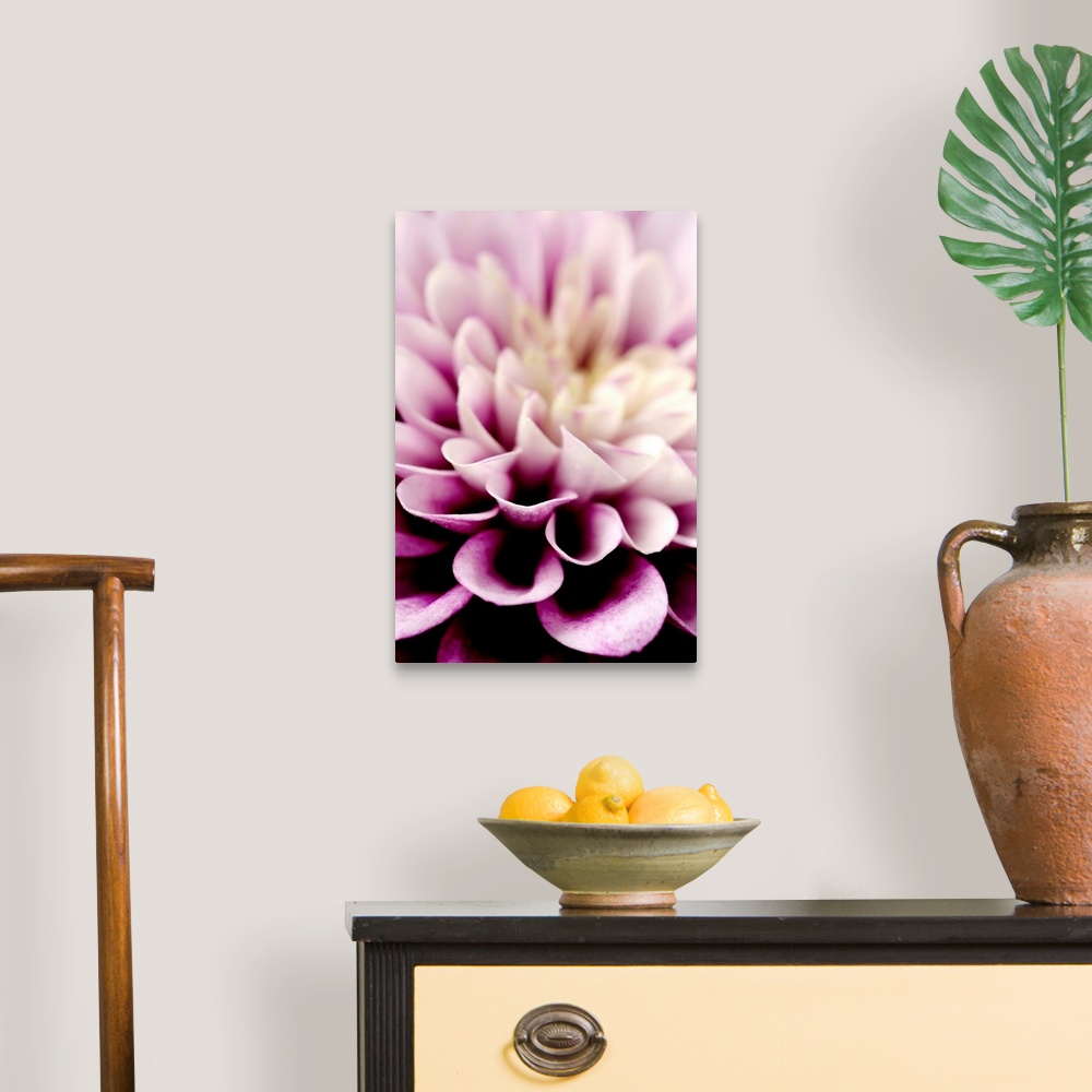 A traditional room featuring Giant photograph focuses in on the detailed petals of a dahlia flower.  The sharp focus on the pe...
