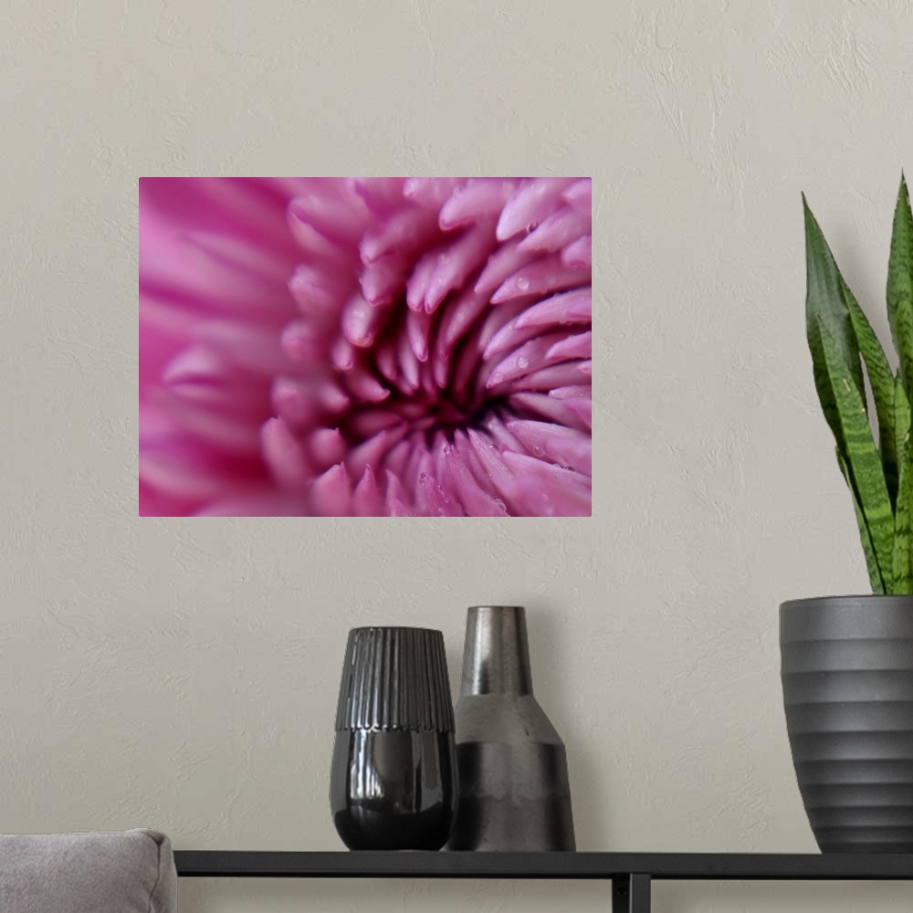 A modern room featuring This is an extreme close up photograph of drops of water on a flower on a horizontal canvas.