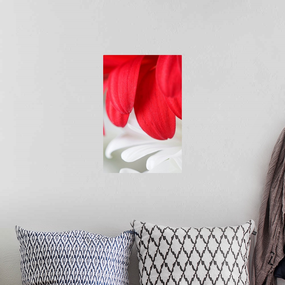 A bohemian room featuring Large, vertical wall hanging that is a macro photograph of flower petals.
