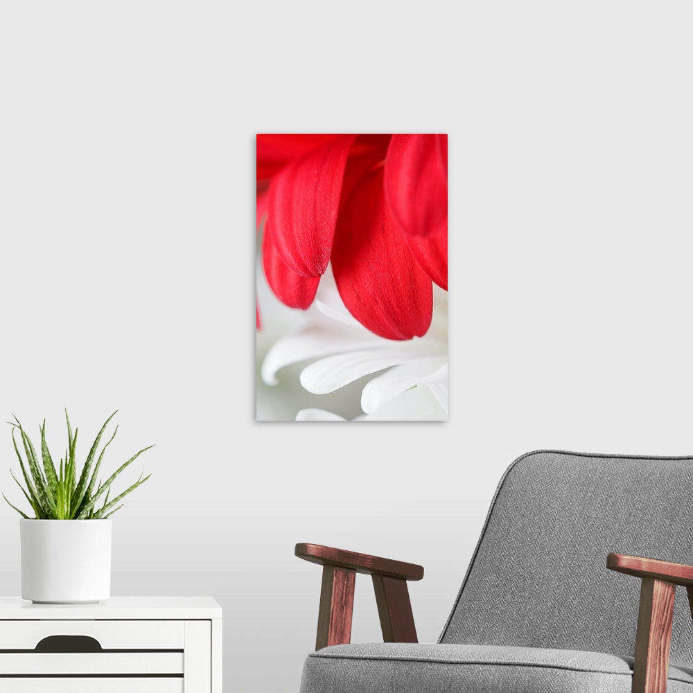 A modern room featuring Large, vertical wall hanging that is a macro photograph of flower petals.