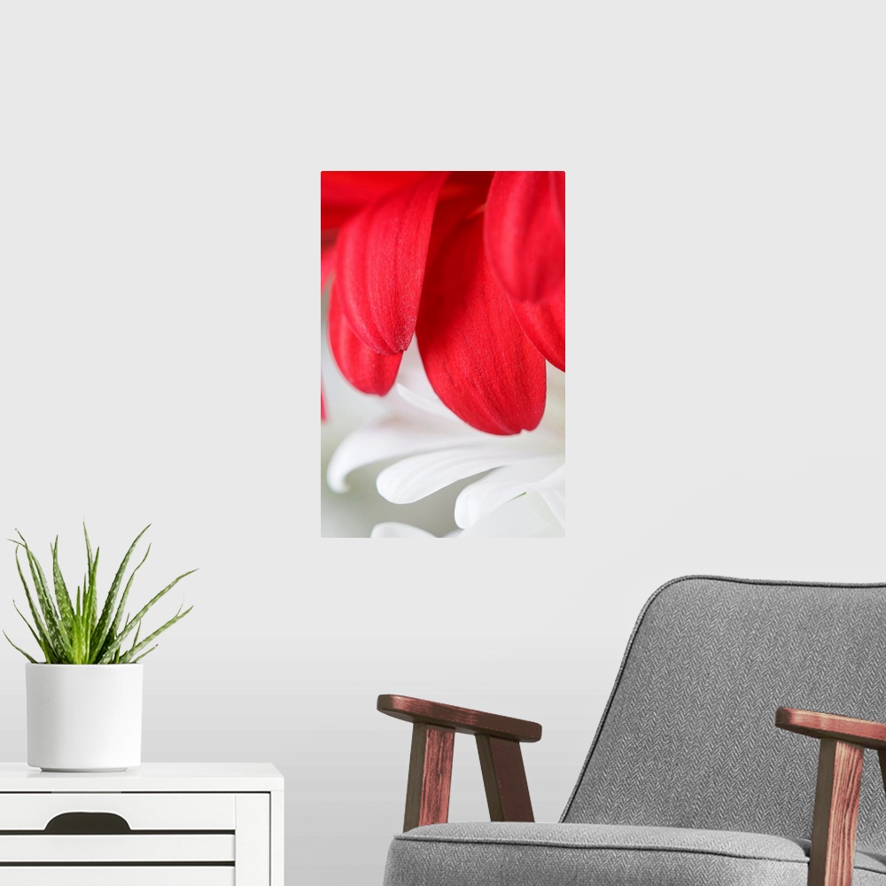 A modern room featuring Large, vertical wall hanging that is a macro photograph of flower petals.