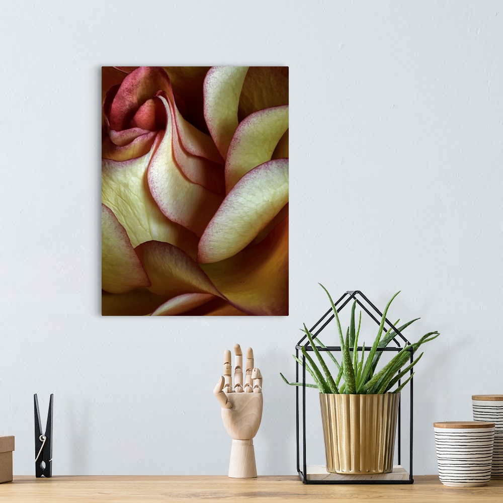 A bohemian room featuring Big canvas art of a rose petal up close showing a lot of details.