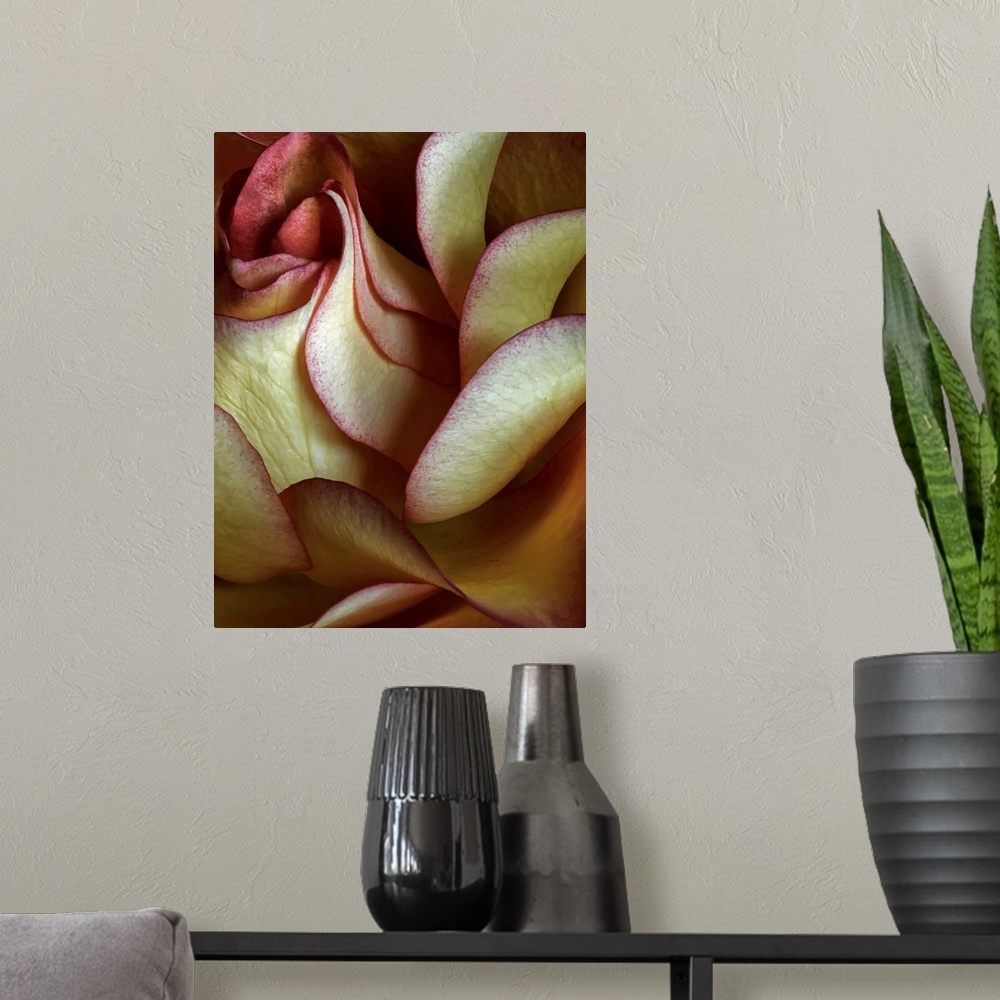 A modern room featuring Big canvas art of a rose petal up close showing a lot of details.