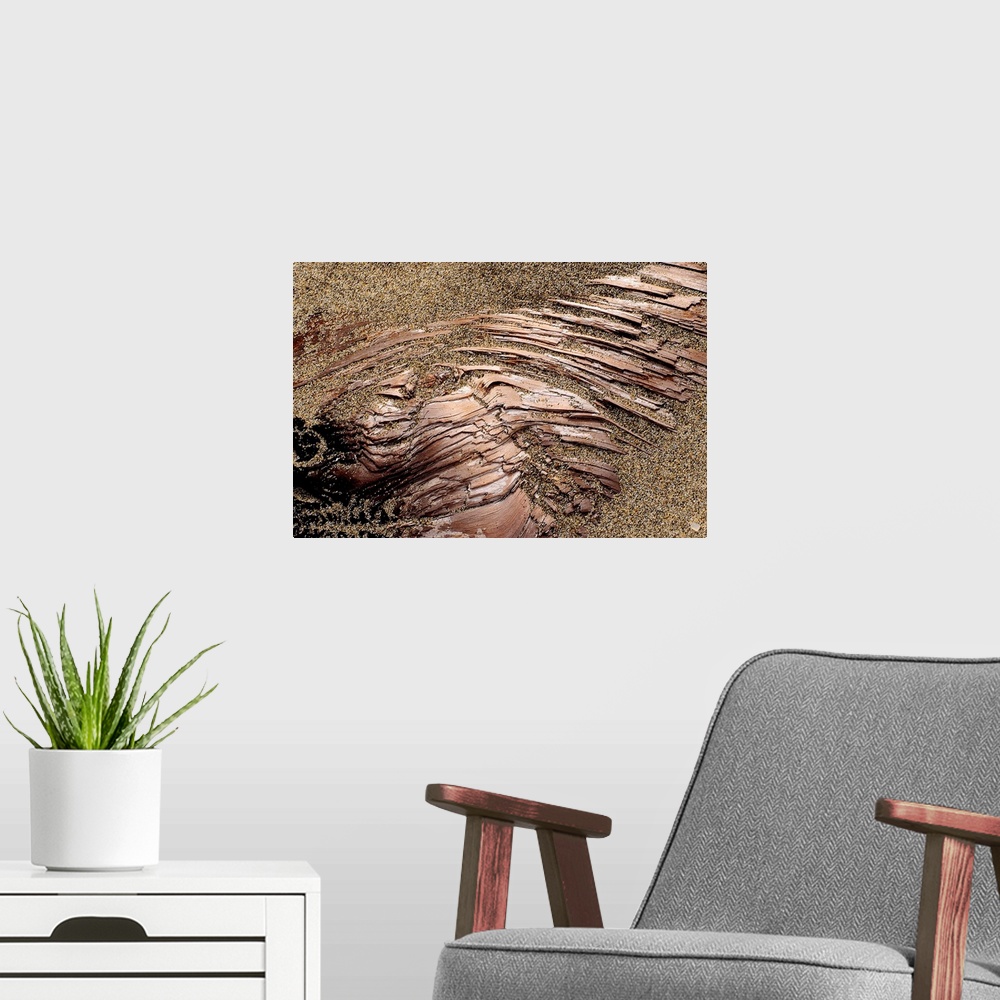A modern room featuring Photograph of dirt covering smooth copper-like rock.