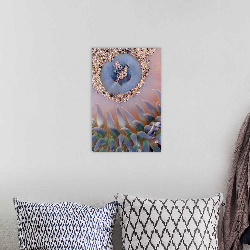 A bohemian room featuring This vertical wall hanging is a nature close up of a sea anemone in this photograph.